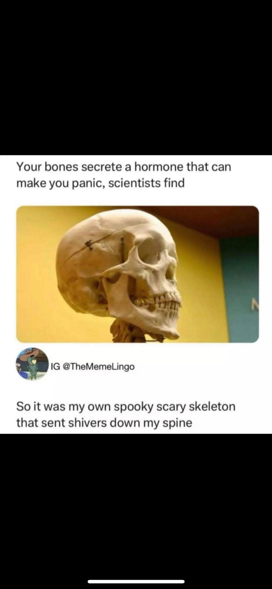 your bones secrete a hormone that can make you panic, scientists find, so it was my own spooky skeleton that sent shivers down my spine
