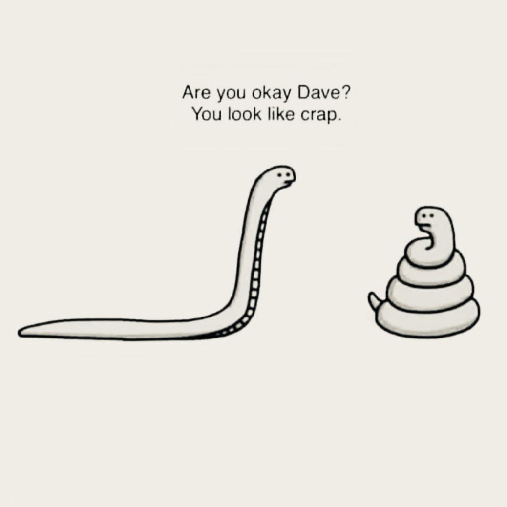 are you okay dave?, you look like crap