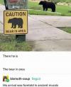 caution, bear in area, there he is, the bear in area, his arrival was foretold in ancient murals