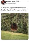 if this isn't a portal to the faerie realm then i don't know what is