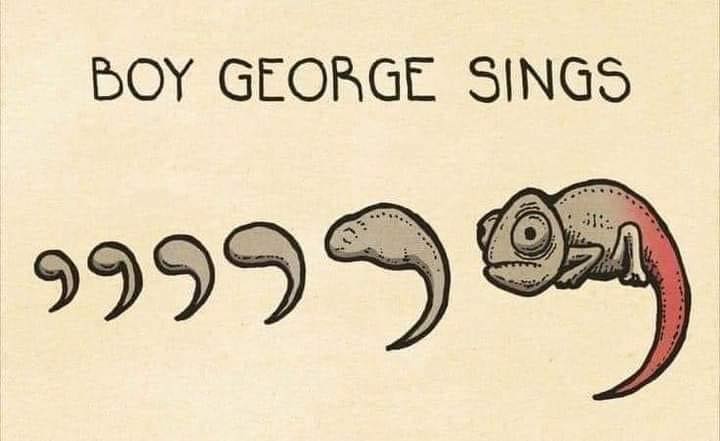 boy george sings, comma comma comma chameleon