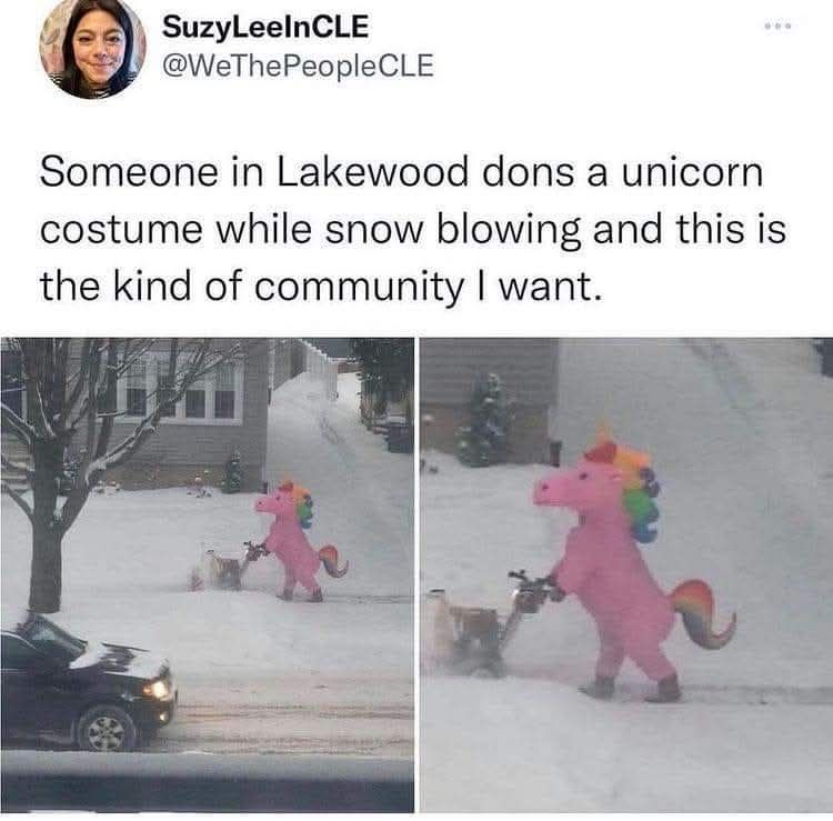 someone in lakewood dons a unicorn costume while snow blowing and this is the kind of community i want