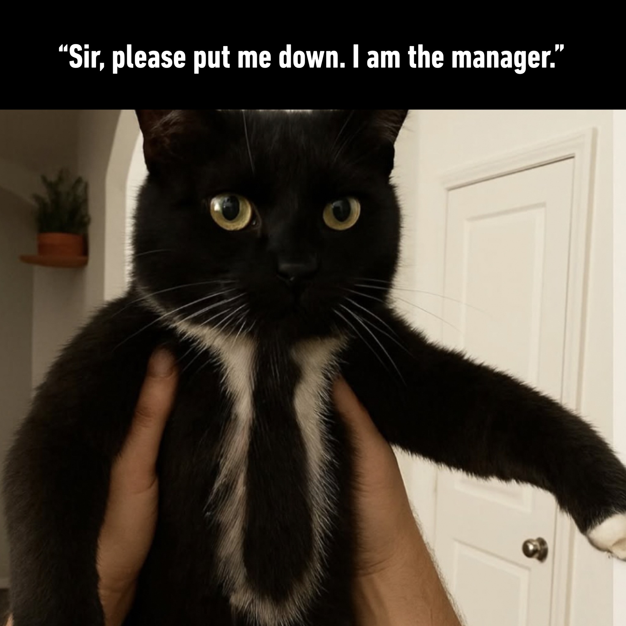 sir, please put me down, i am the manager