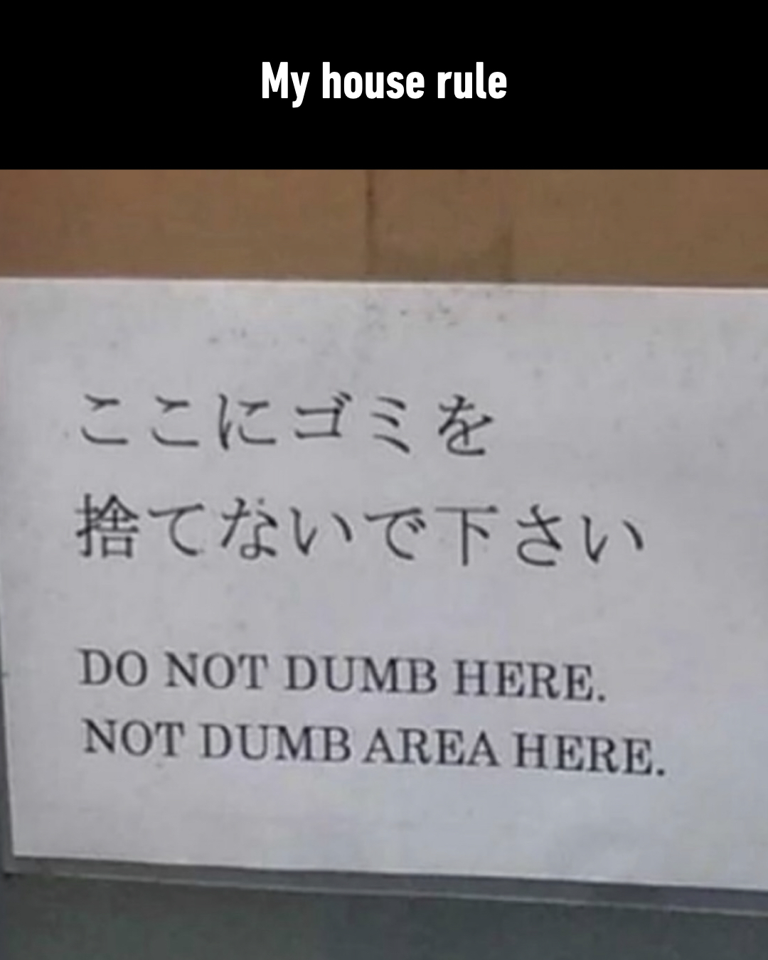 do not dumb here, not dumb area here, my house rule