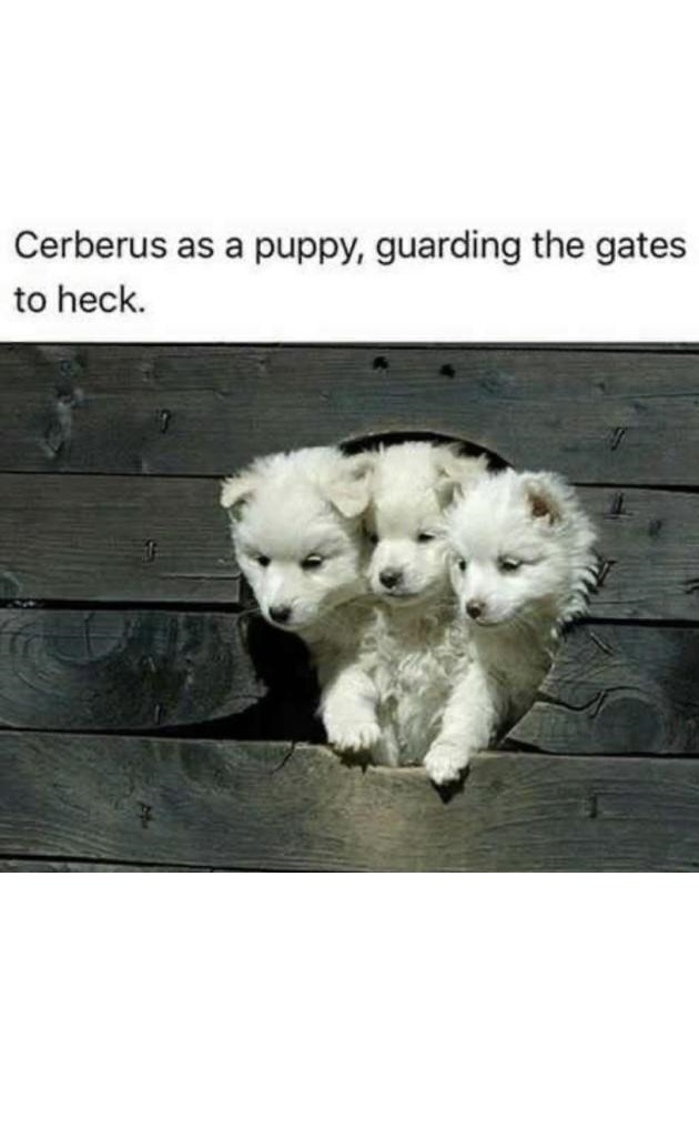 cerberus as a puppy, guarding the gates of heck