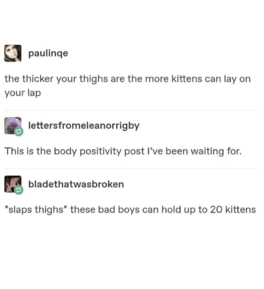the thicker your thighs are the more kittens can lay on your lap, this is the body positivity post i've been waiting for, slaps thighs, these bad boys can hold up to 20 kittens
