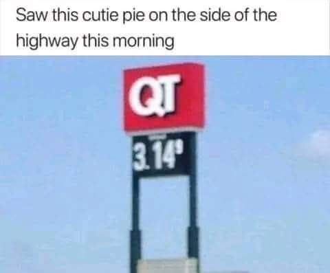 saw this cutie pie on the side of the highway this morning