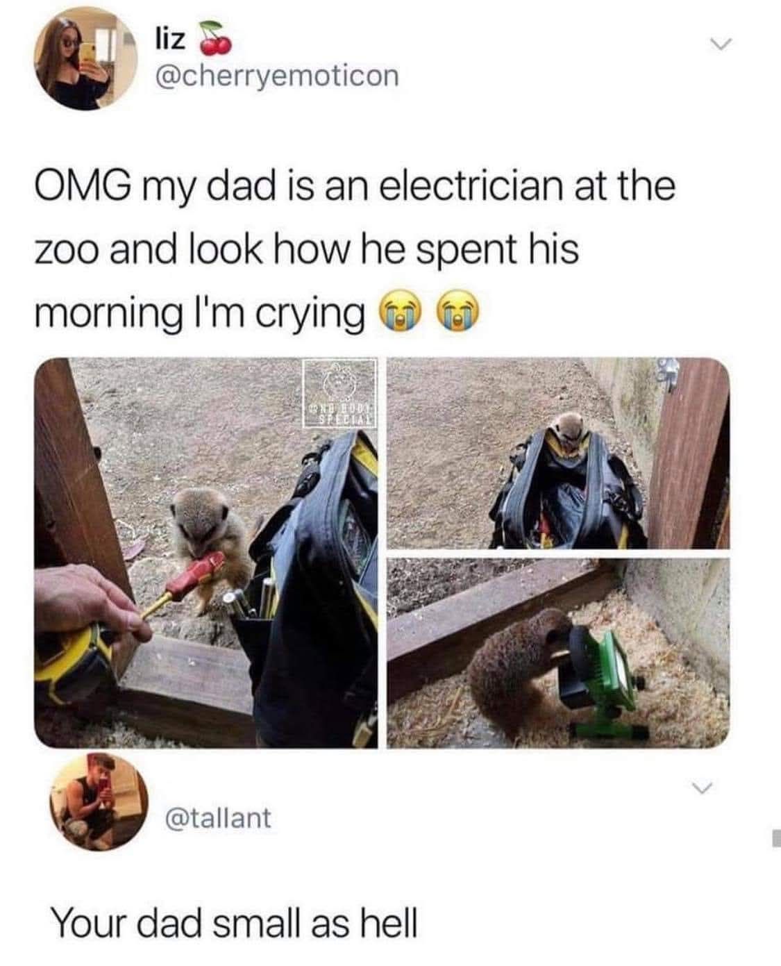 omg my dad is an electrician at the zoo and look how he spent his morning, i'm crying, your dad small as hell