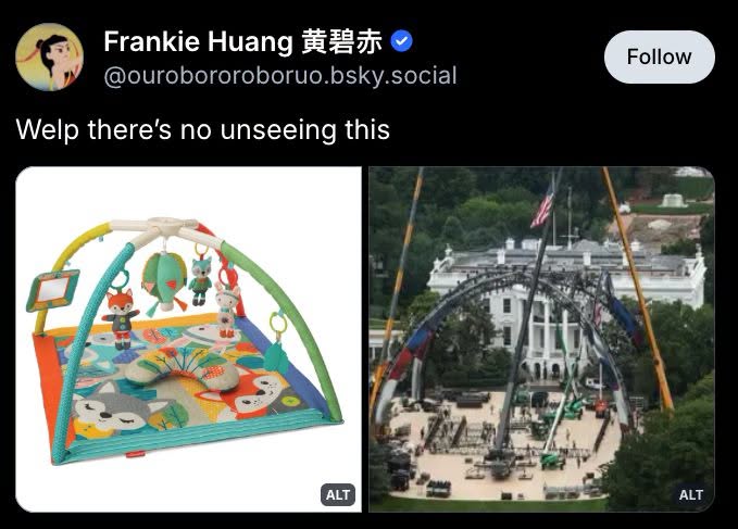welp, there's no unseeing this, white house cage fight, toddler play carpet