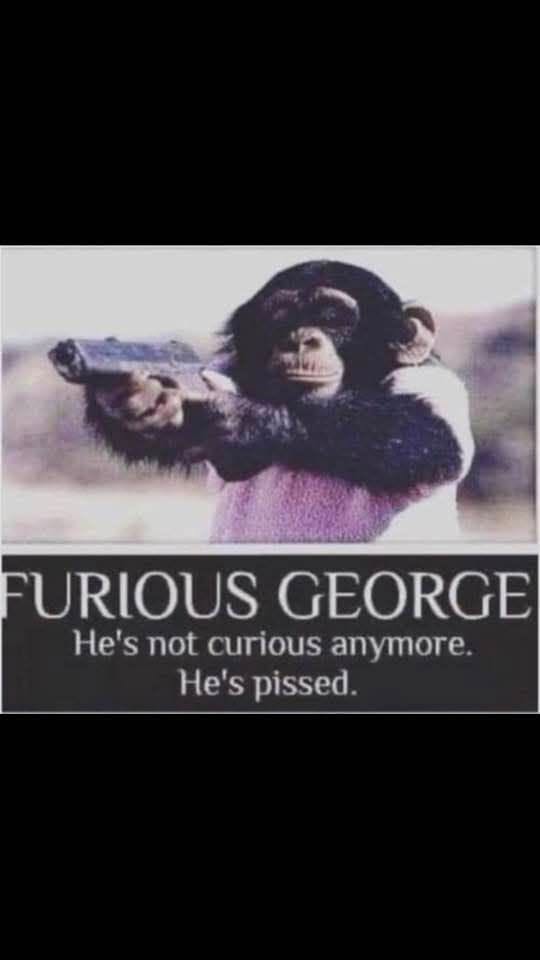 furious george, he's not curious, he's pissed