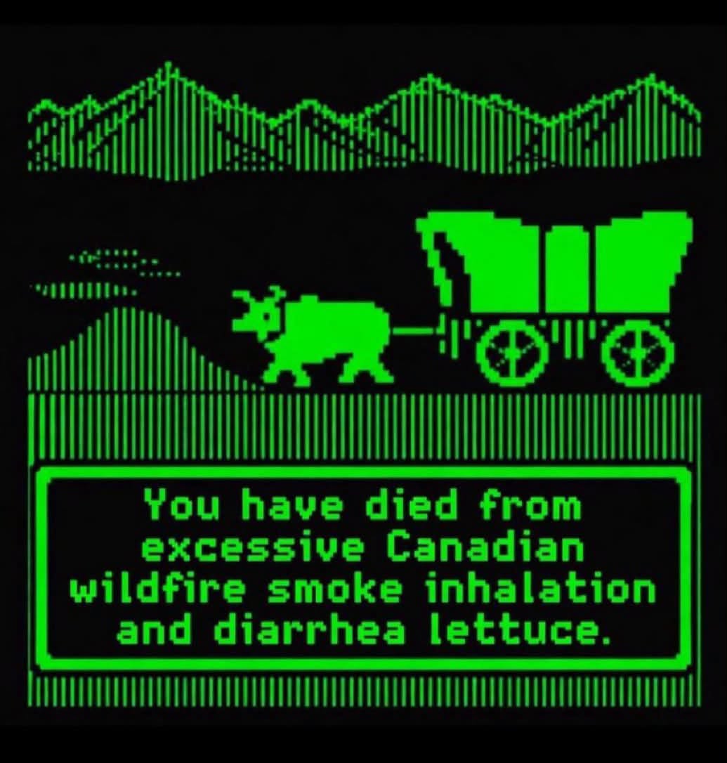 you have died from excessive canadian wilfdire smoke inhalation and diarrhea lettuce, oregon trail