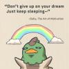 don't give up on your dreams, just keep sleeping